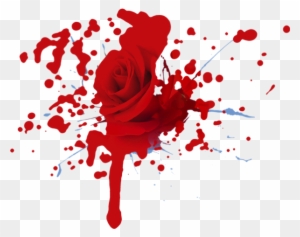bleeding heart rose sketch