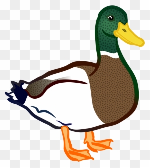 Duck - Coloured - Bebek Vector - Free Transparent PNG Clipart Images ...