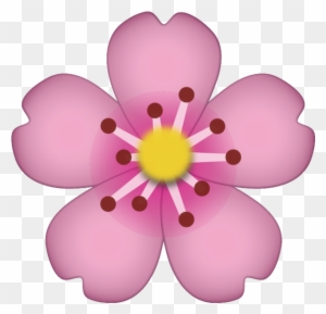 Cherry Blossom Emoji - Iphone Flower Emoji Png - Free Transparent PNG ...