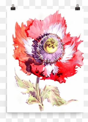 Poppies Watercolor Painting Paper Drawing - Poppy Flower Watercolor ...