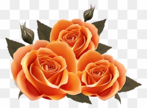 Orange Roses - Birthday Wishes For Best Friend