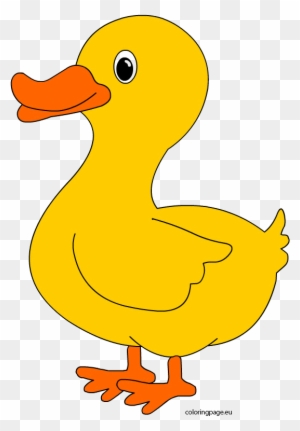 Template Of A Duck - Free Transparent PNG Clipart Images Download