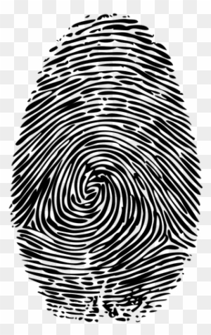 Realistic Fingerprint Design Transparent Png - Fingerprint Png - Free ...