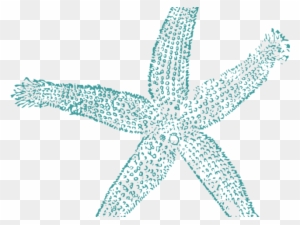 Starfish Clipart Teal - Estrellas De Mar Png