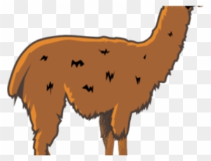 llama image clipart library