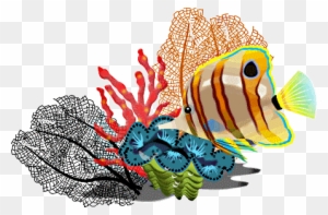 school of tropical fish drawing
