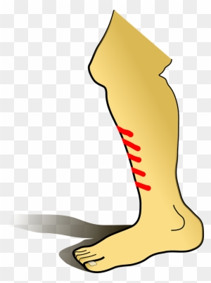 Leg Drawing Clip Art at Clker.com - vector clip art online