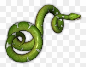 Snakes Png Image Green Snake No Background Free Transparent Png Clipart Images Download