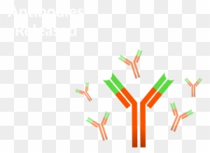 antigen clipart sun