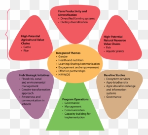 Research Design Hierarchy Clip Art - Hierarchy Of Research Design 