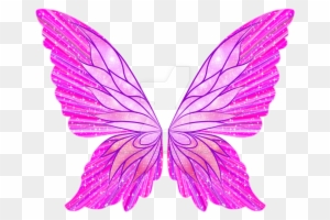 Butterfly Wing Drawings Download - Winx Club Wings Png - Free ...