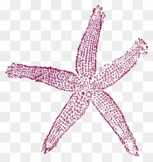 Starfish Prints Clip Art At Clker - Estrellas De Mar Png