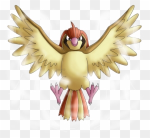 Free: Pidgeotto Pokémon X and Y Pokédex - Pidgeot png download - 600*473   