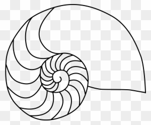 Nautilus Shell Coloring Page Line Art Free Transparent Png Clipart Images Download