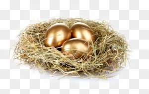 Nest Golden Eggs Png Photo Make Money From Freelance Writing Teach Yourself Free Transparent Png Clipart Images Download - egg of golden achievement roblox golden egg free