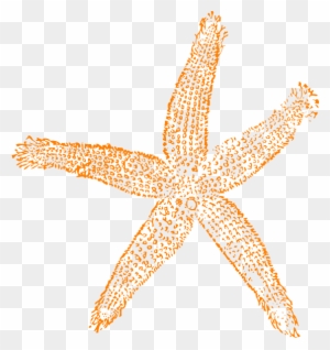 Single Starfish Orange Clip Art At Clker - Estrellas De Mar Png