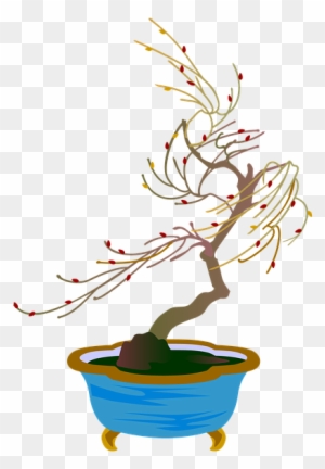 Bonsai - Bonsai Finto Per Acquario - (472x472) Png Clipart Download