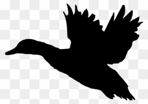 Fileduck Sotka Flying Duck Silhouette Clip Art Free Transparent