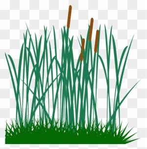 Green Grass Background png download - 512*512 - Free Transparent Cut The Rope  Experiments png Download. - CleanPNG / KissPNG