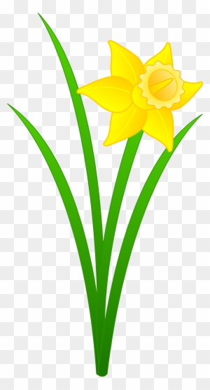 daffodils flower clipart black
