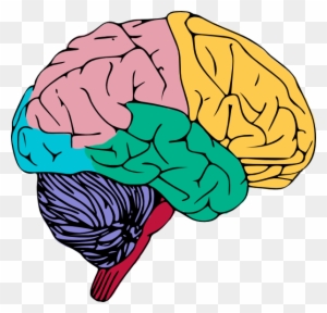 computer brain clipart for kids