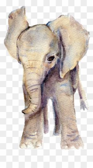 watercolor elephant tumblr