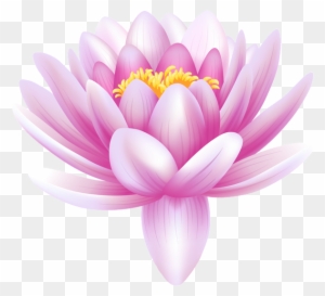 Hand Drawing Water Lily, Lotus, Flower - Water Lily Flower Png - Free ...