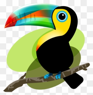 Iquitos Bird Baby Toucan Tucan Dibujo Png Free Transparent Png Clipart Images Download