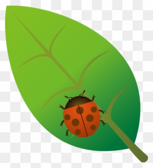 テントウムシno06テントウムシイラスト Ladybug Free Transparent Png Clipart Images Download