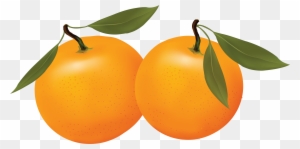 oranges clipart