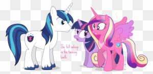 Twilight Sparkle And Shining Armour Baby