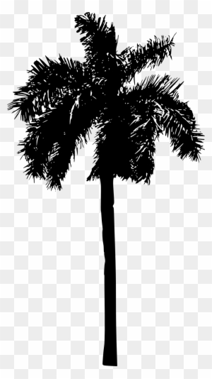 Report Abuse - Palm Tree Silhouette Png - Free Transparent PNG Clipart ...