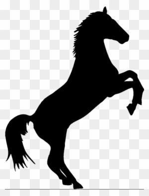 Le Cheval Noir Hôtel - Black And White Horse Logo - Free Transparent ...