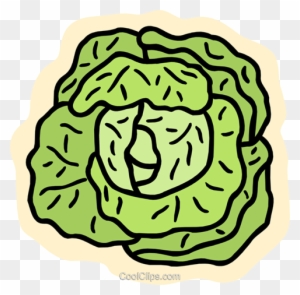 Lettuce Bild Salat Clipart Free Transparent Png Clipart Images Download