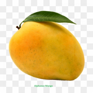 Clipart Of Mango Free Download Clip Art On - Mango Clip Art - Free ...