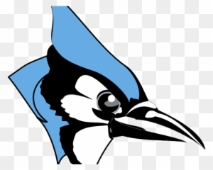 Transparent Blue Jay Png - Blue Jay Bird Logo, Png Download , Transparent  Png Image - PNGitem