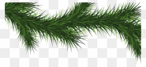 christmas branch tree vector clipart