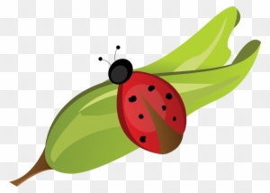 Joaninha Ladybug, HD Png Download - 770x982(#2522069) - PngFind