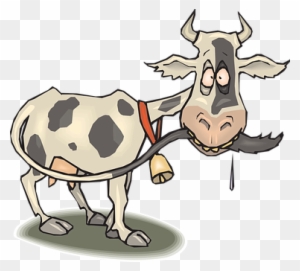 mad cow roblox cow png image transparent png free