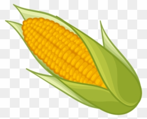 ear of corn clipart