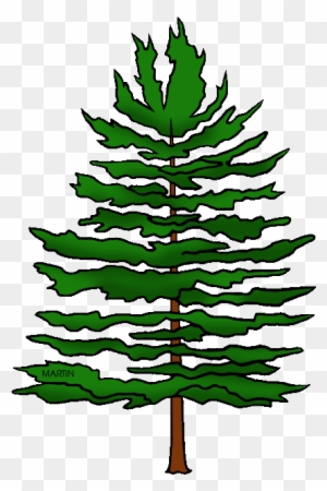 pine cone tree clip art