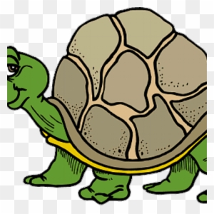 Turtle Shell Clip Art Image - Clip Art Turtle Shell - Free Transparent ...