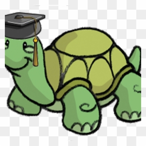 Turtle Academy Roblox Turtle Free Transparent Png Clipart Images Download - roblox turtle small