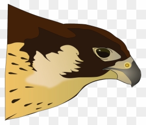 bullet hawk eyes clipart