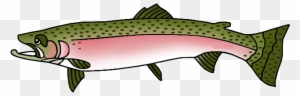 Free Clipart Of A Trout Fish - Trout Fish Clip Art - Free Transparent ...