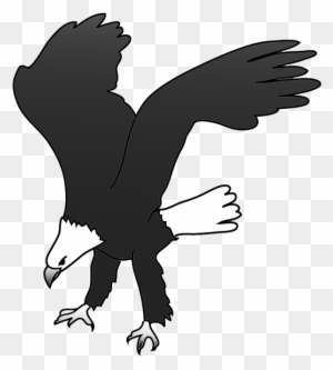 picture of eagle of saladin clipart