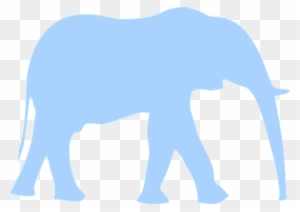 Elephant, Animal, Huge, Mammal, Walking - African Rainforst Elephants Are Blue