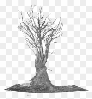 Oasis - Scary Tree Png - Free Transparent PNG Clipart Images Download