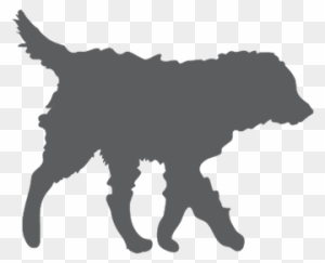 Download Top Quality Australian Labradoodle Dogs Arch View Labradoodles Labradoodle Silhouette Free Transparent Png Clipart Images Download