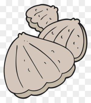 clam cartoon